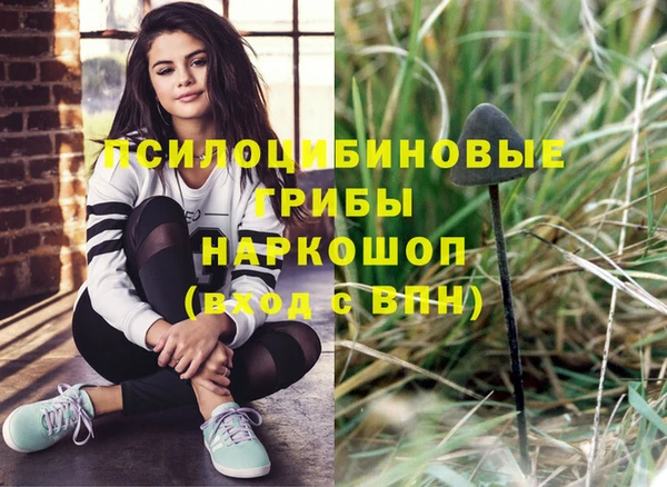 ешки Зерноград