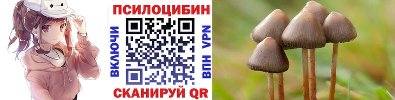 Купить закладки  Ардатов  Галлюциногенные грибы Magic Shrooms 